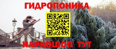 гашик Обнинск