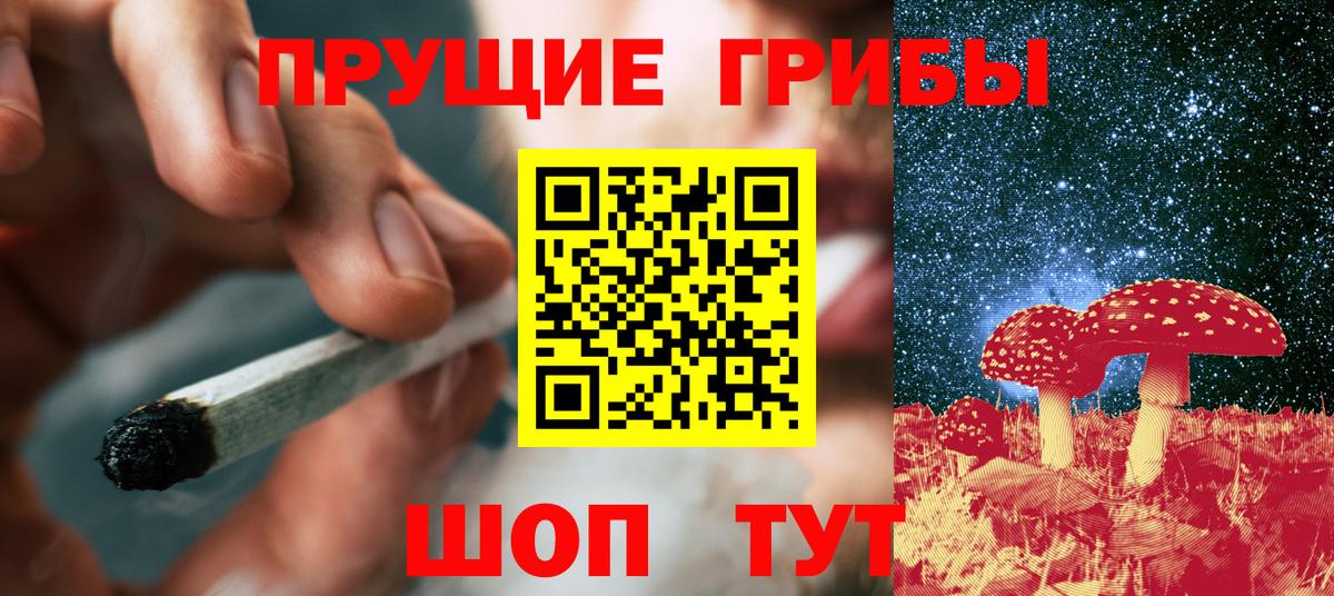 Галлюциногенные грибы прущие грибы Сибай