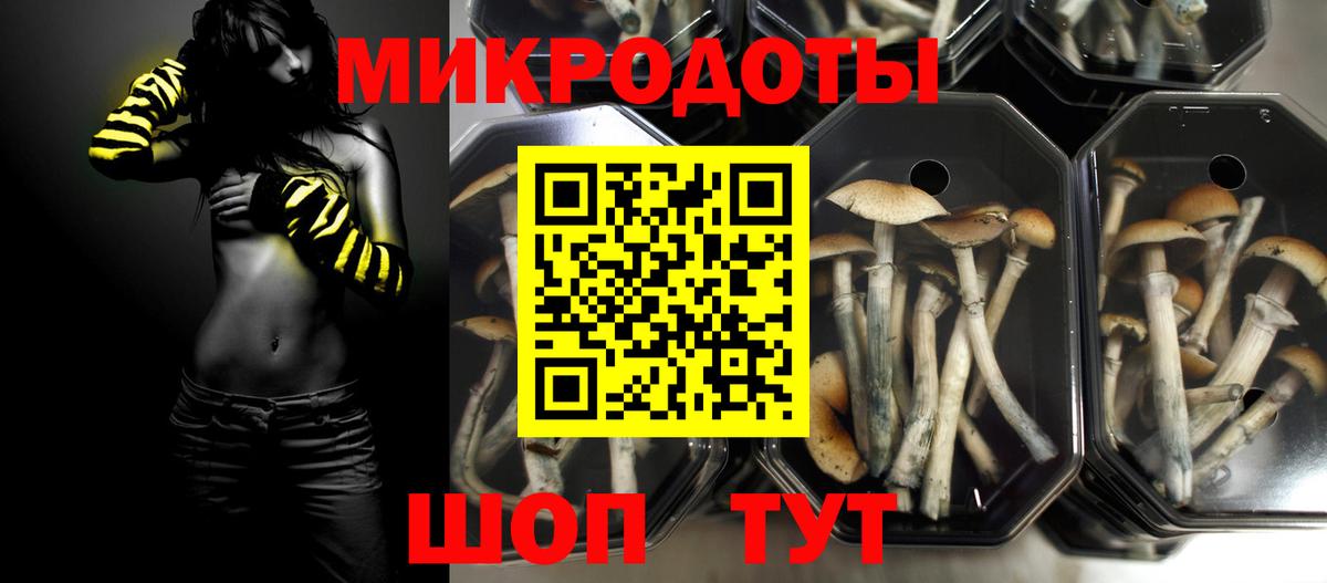 где можно купить   Галлюциногенные грибы мухоморы  Вход с VPN  Сибай 